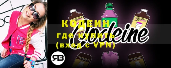 круглые Гусев