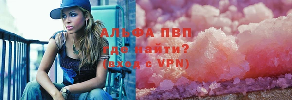 круглые Гусев