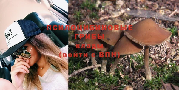 стафф Пестово