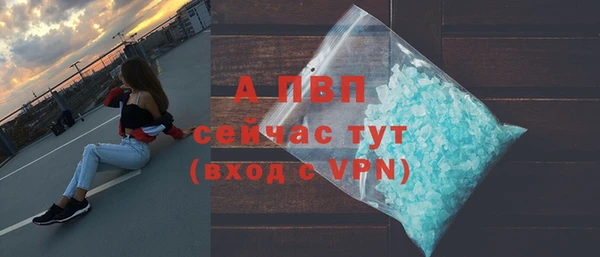 круглые Гусев