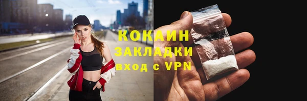 круглые Гусев